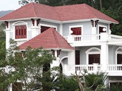 Ảnh bìa bài viết 281707