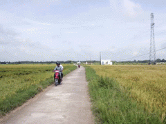 Ảnh bìa bài viết 282109