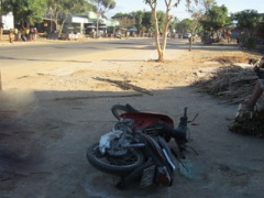 Ảnh bìa bài viết 282084