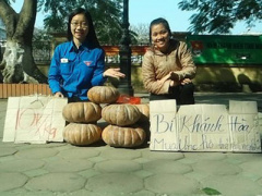 Ảnh bìa bài viết 281955