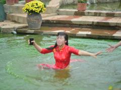 Ảnh bìa bài viết 282241