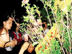 Ảnh bìa bài viết 282312