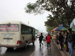Ảnh bìa bài viết 282423