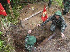 Ảnh bìa bài viết 282457