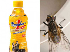 Ảnh bìa bài viết 282528