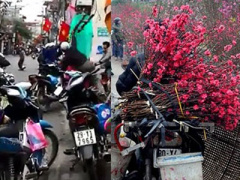 Ảnh bìa bài viết 282503
