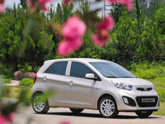 Ảnh bìa bài viết 282604