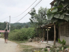 Ảnh bìa bài viết 282656