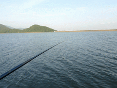 Ảnh bìa bài viết 282670