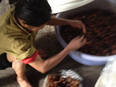 Ảnh bìa bài viết 282782