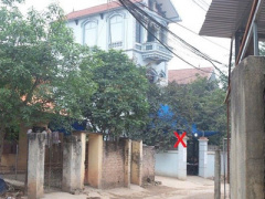 Ảnh bìa bài viết 282835