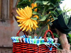 Ảnh bìa bài viết 282778
