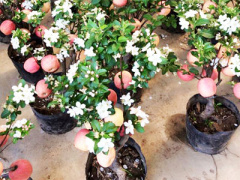 Ảnh bìa bài viết 282734