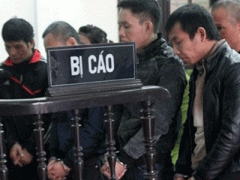 Ảnh bìa bài viết 282844