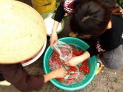 Ảnh bìa bài viết 283000