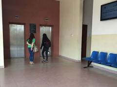 Ảnh bìa bài viết 282853