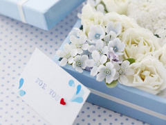 Ảnh bìa bài viết 282856