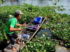 Ảnh bìa bài viết 283170