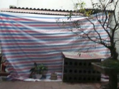 Ảnh bìa bài viết 283074