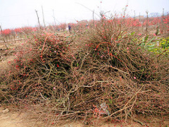 Ảnh bìa bài viết 283071