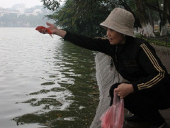Ảnh bìa bài viết 283101
