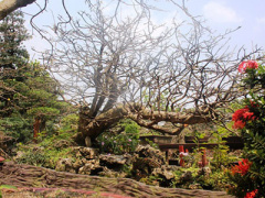 Ảnh bìa bài viết 283238