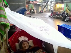 Ảnh bìa bài viết 283251
