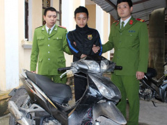 Ảnh bìa bài viết 283218
