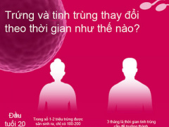 Ảnh bìa bài viết 283325