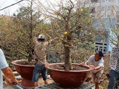 Ảnh bìa bài viết 283410