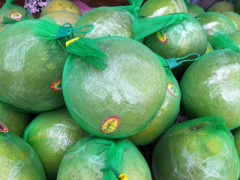 Ảnh bìa bài viết 283586