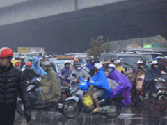 Ảnh bìa bài viết 283594