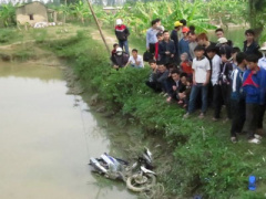 Ảnh bìa bài viết 283529