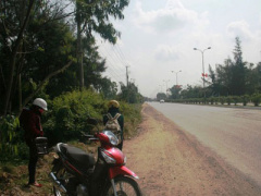 Ảnh bìa bài viết 283657