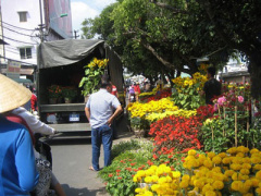 Ảnh bìa bài viết 283664