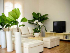 Ảnh bìa bài viết 283733