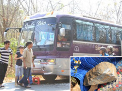 Ảnh bìa bài viết 283773