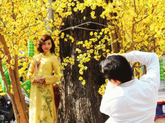 Ảnh bìa bài viết 283691