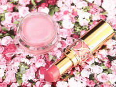 Ảnh bìa bài viết 283694