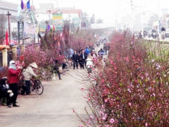 Ảnh bìa bài viết 283812