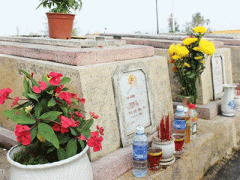 Ảnh bìa bài viết 283903