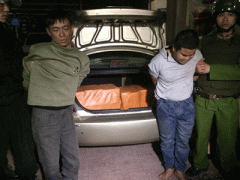Ảnh bìa bài viết 283838