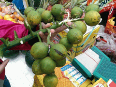 Ảnh bìa bài viết 283943