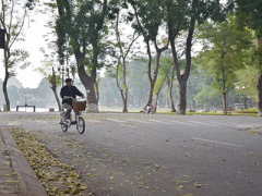 Ảnh bìa bài viết 283985