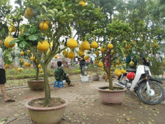 Ảnh bìa bài viết 283982