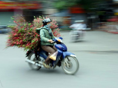 Ảnh bìa bài viết 283967