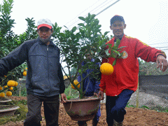 Ảnh bìa bài viết 283925