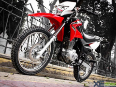Ảnh bìa bài viết 284026