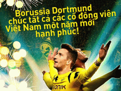 Ảnh bìa bài viết 284053