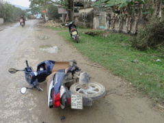 Ảnh bìa bài viết 284121